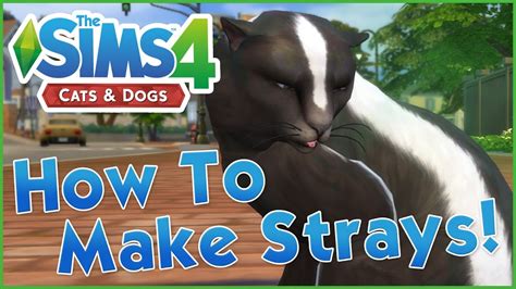 sims 4 adopt a stray dog.